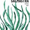 SALMASTRA_etichetta_box